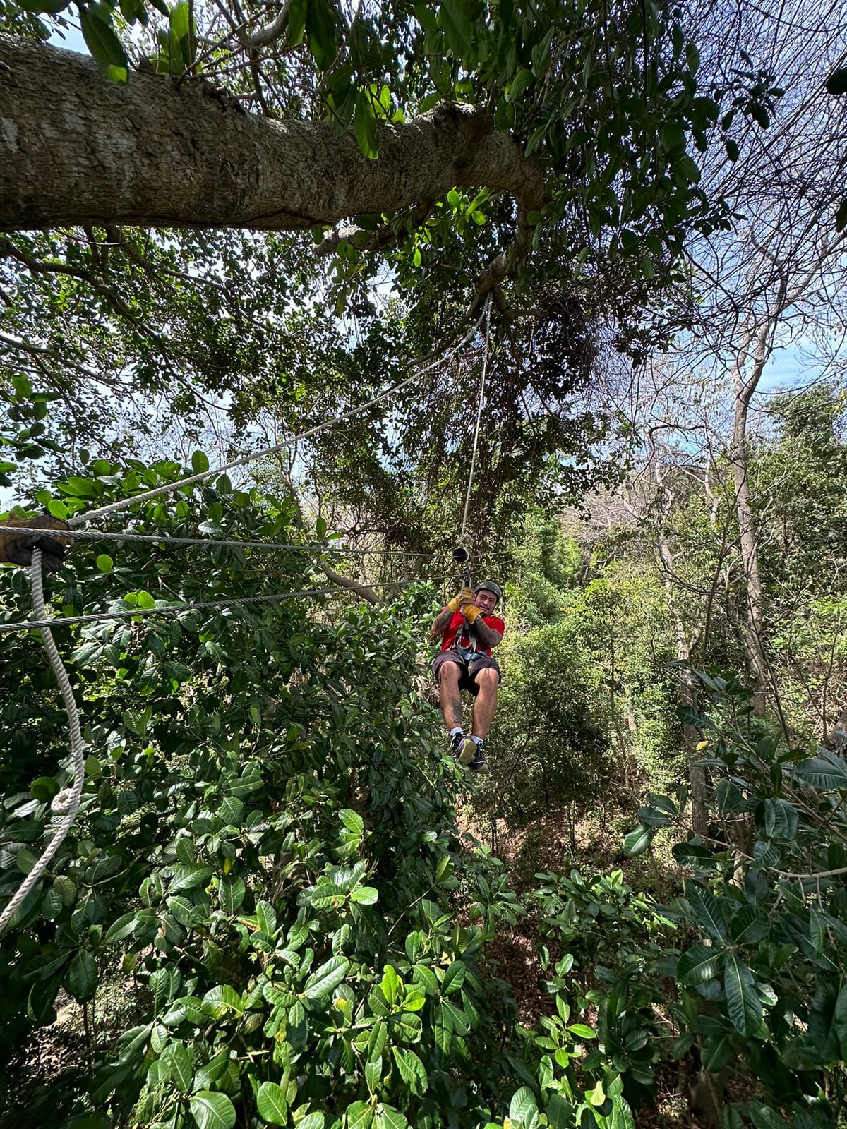 Santuario de aves y perezosos en Roatán